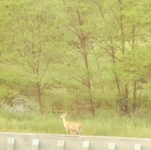 Meet your Posher, Patrick